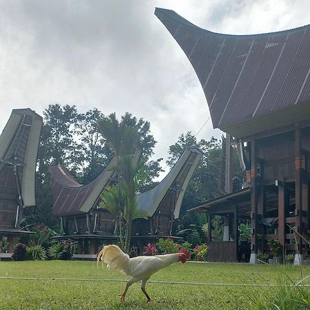 Toraja Homestay & Coffee Bunna Рантепао Екстер'єр фото